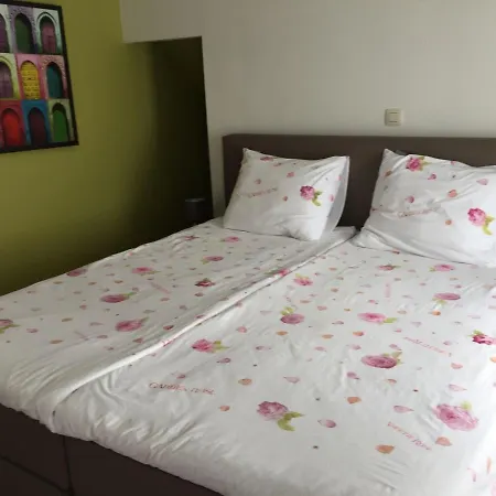 Tatil Evi In *