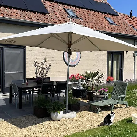 In * Koekelare